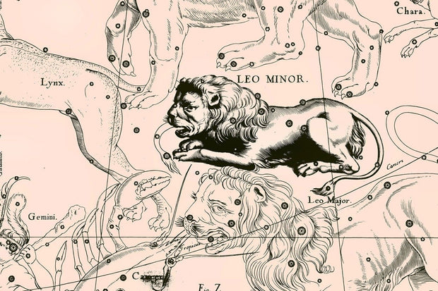 Leo Constellation Map in Beige Wall Mural-astrology-Eazywallz