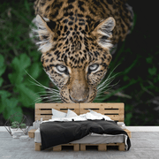 Leopard Eyes Wall Mural-Animals & Wildlife-Eazywallz