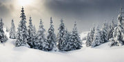 Majestic Winter Panorama Wall Mural-Landscapes & Nature,Panoramic-Eazywallz