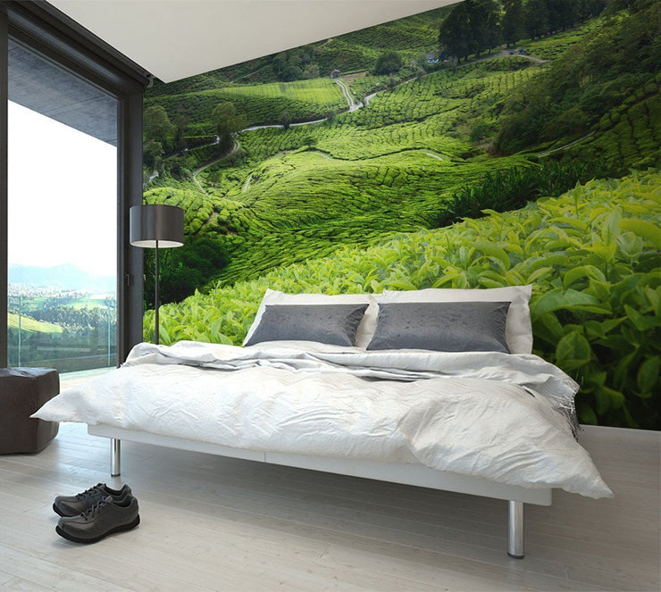 Malaysian Tea Plantation Wall Mural-Landscapes & Nature-Eazywallz