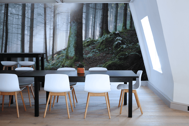 Mist in the woods Wall Mural-Landscapes & Nature-Eazywallz