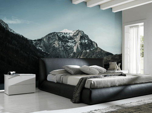 Mountain View Wall Mural-Landscapes & Nature-Eazywallz