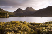 Mountains in Tasmania Wall Mural-Landscapes & Nature-Eazywallz