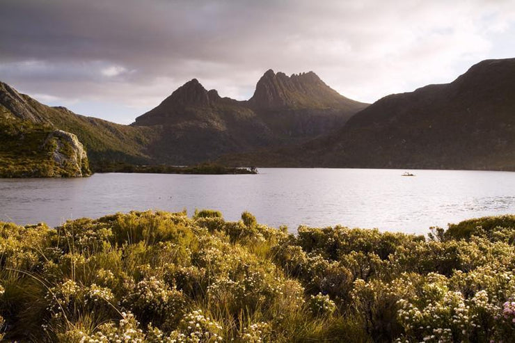 Mountains in Tasmania Wall Mural-Landscapes & Nature-Eazywallz