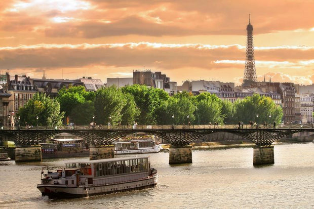 On the Seine river in Paris Wall Mural-Buildings & Landmarks,Cityscapes-Eazywallz