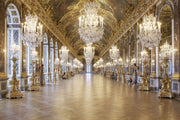 Palace of Versailles 2 Wall Mural-Buildings & Landmarks,Vintage-Eazywallz