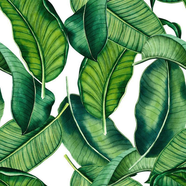 tropical jungle green banana leaf wallpaper wall mural