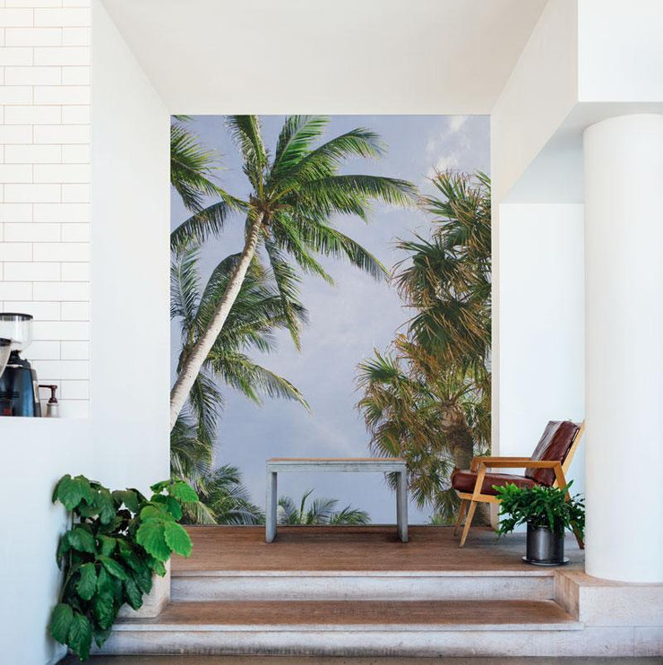 Palm Tree Island Wall Mural-Tropical & Beach-Eazywallz