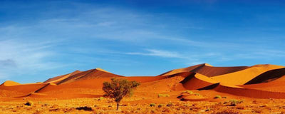 Panorama of the Namib Desert Wall Mural-Landscapes & Nature,Panoramic-Eazywallz