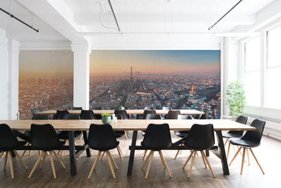 Panoramic View of Paris Wall Mural-Black & White,Buildings & Landmarks,Cityscapes,Panoramic,Staff Favourite Murals-Eazywallz