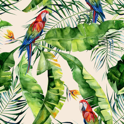 Watercolor Parrots Banana Leafs Wallpaper