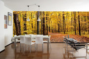 Path in Autumn Park Wall Mural-Landscapes & Nature,Panoramic-Eazywallz