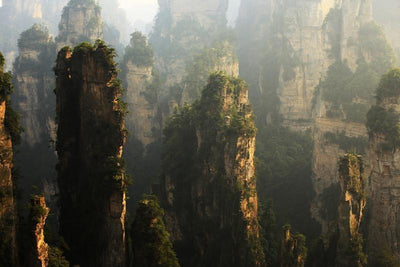 Peaks in Zhangjiajie Wall Mural-Landscapes & Nature-Eazywallz