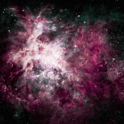 Pink Cosmos Wall Mural-Space-Eazywallz