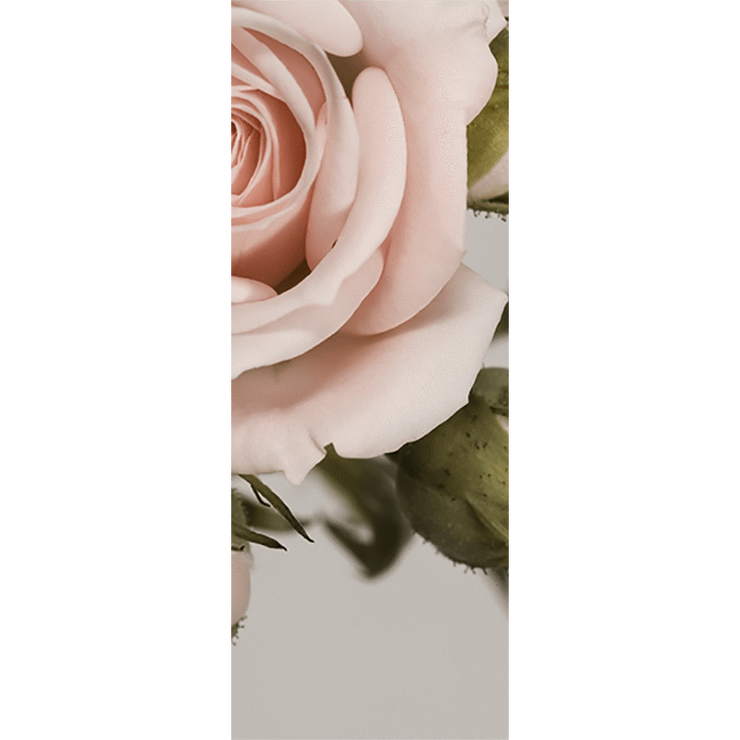 Pink Rose Door Mural-Florals,Macro-Eazywallz