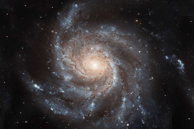 Pinwheel Galaxy Wall Mural-Space-Eazywallz