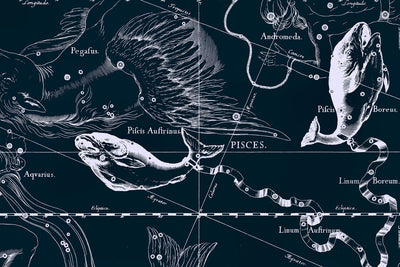 Pisces Constellation Map in Navy Wall Mural-astrology-Eazywallz