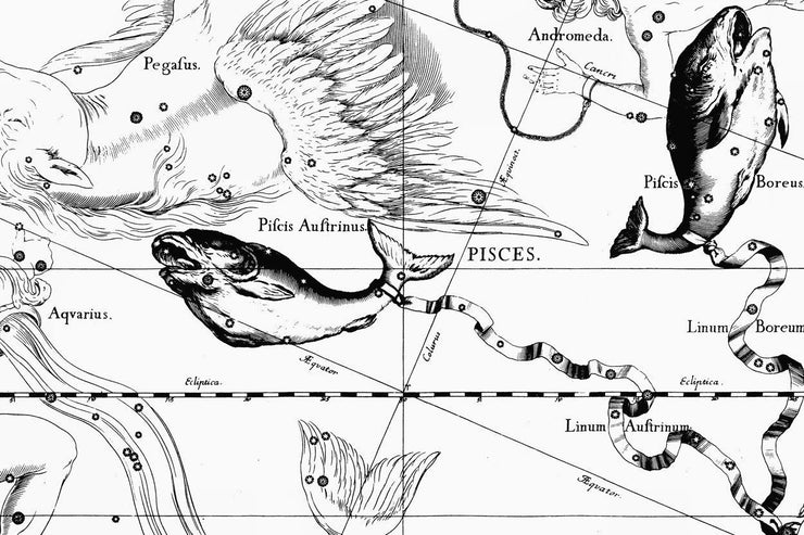 Pisces Constellation Map Wall Mural-astrology-Eazywallz