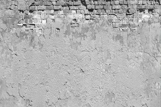 Plaster & Brick Texture Wall Mural