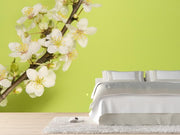 Plum blossoms Wall Mural-Florals,Featured Category of the Month-Eazywallz