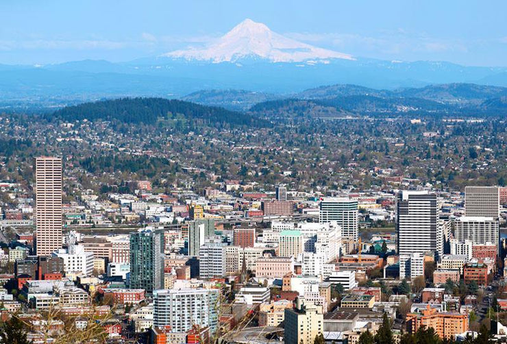 Portland Skyline Wall Mural-Cityscapes-Eazywallz