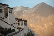 Potala Palace in Lhasa, Tibet Wall Mural-Buildings & Landmarks,Landscapes & Nature-Eazywallz