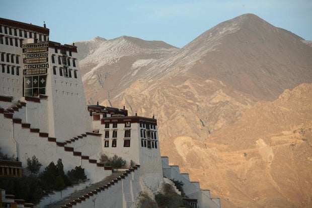 Potala Palace in Lhasa, Tibet Wall Mural-Buildings & Landmarks,Landscapes & Nature-Eazywallz