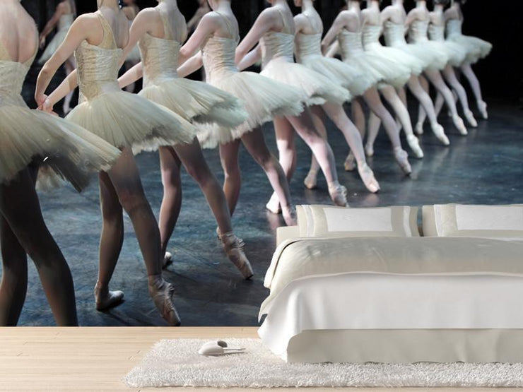 Professional Ballerinas Wall Mural-Arts-Eazywallz