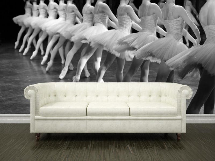 Professional Ballerinas Wall Mural-Arts-Eazywallz