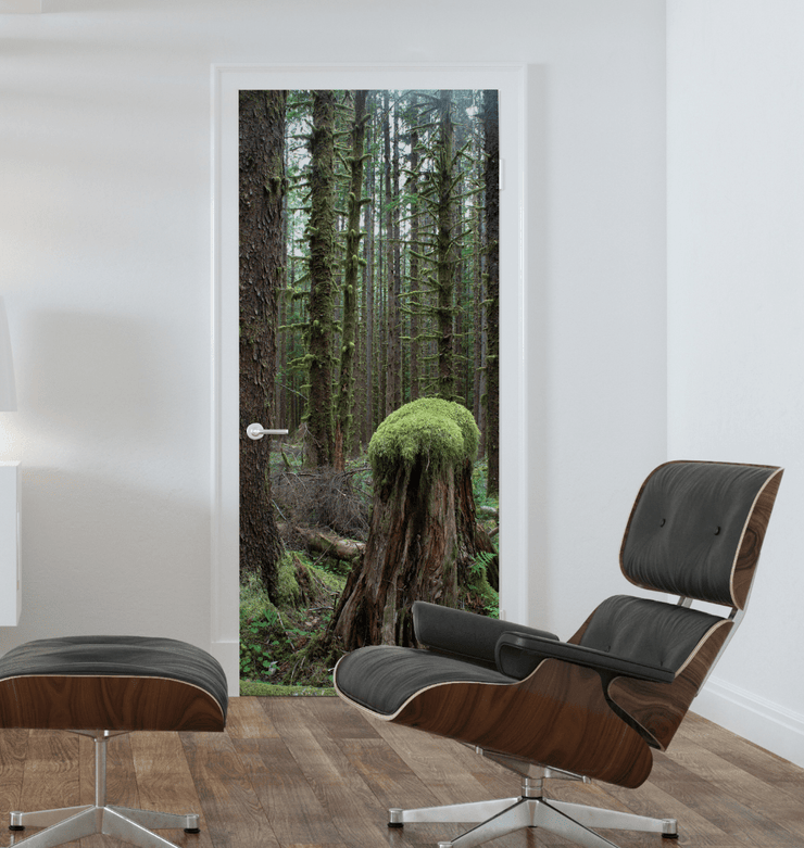 Rainforest Old Stump Door Mural-Landscapes & Nature-Eazywallz