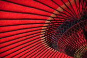 Red Umbrella Mural-Abstract,Macro,Zen-Eazywallz