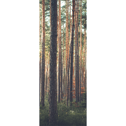 Red Wood Forest Door Mural-Landscapes & Nature-Eazywallz