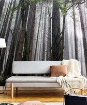 Redwood Forest Wallpaper Mural-Landscapes & Nature-Eazywallz