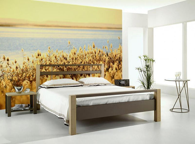 Reed Stalks Wall Mural-Tropical & Beach,Landscapes & Nature-Eazywallz