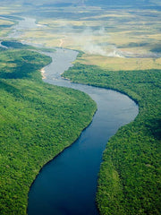 River Flow in Venezuela Wall Mural-Landscapes & Nature-Eazywallz