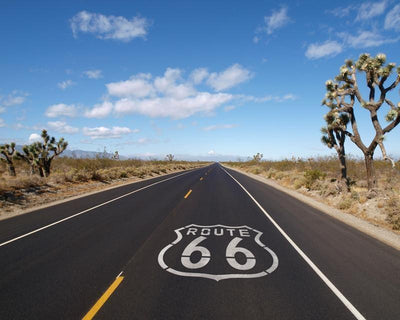 Route 66 crossing Mojave desert Wall Mural-Buildings & Landmarks,Landscapes & Nature-Eazywallz