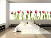 Row of Colorful Tulips Wall Mural-Florals,Panoramic,Featured Category of the Month-Eazywallz