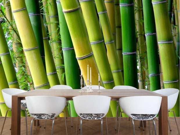 Serene Bamboo Wall Mural-Landscapes & Nature,Zen-Eazywallz