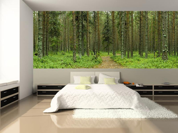 Silent Forest Wall Mural-Landscapes & Nature,Panoramic-Eazywallz