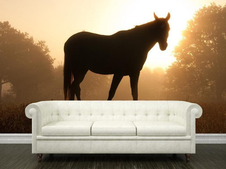 Silhouette of an Arabian Horse Wall Mural-Animals & Wildlife-Eazywallz