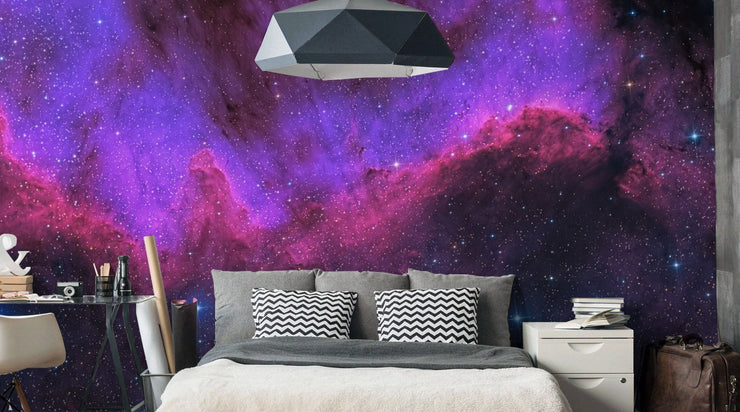 Space from the Cygnus Wall Mural-Space-Eazywallz