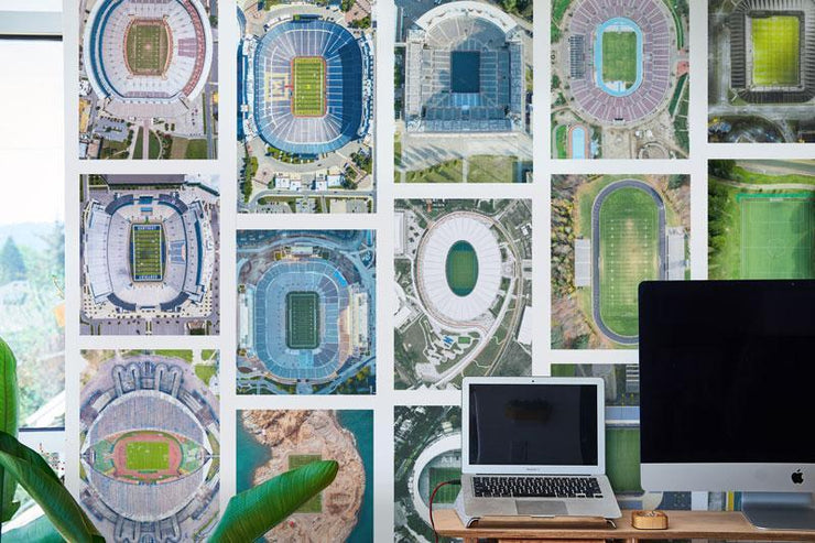 Sports Fields Collage Wall Mural-Sports-Eazywallz