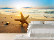 Starfish at sunset Wall Mural-Animals & Wildlife,Tropical & Beach,Landscapes & Nature-Eazywallz