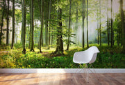 Sunny Morning Forest Wall Mural-Landscapes & Nature-Eazywallz