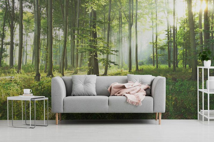 Sunny Morning Forest Wall Mural-Landscapes & Nature-Eazywallz