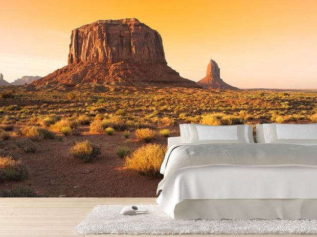 Sunset at the Monument Valley, USA Wall Mural-Buildings & Landmarks,Landscapes & Nature-Eazywallz