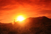 Sunset in Central Arizona Wall Mural-Landscapes & Nature-Eazywallz