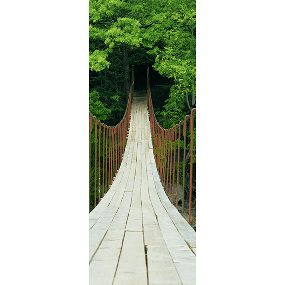 Suspension Bridge Door Mural-Landscapes & Nature-Eazywallz