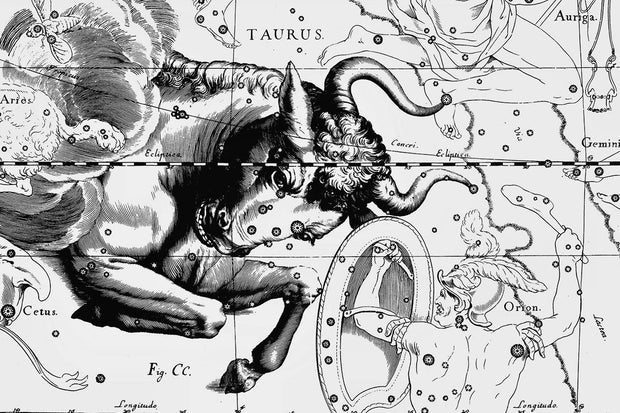Taurus Constellation Map Wall Mural-astrology-Eazywallz