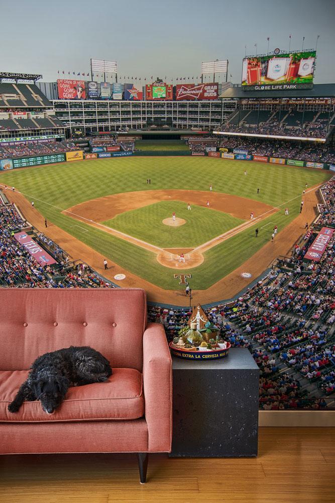 Texas Baseball Stadium Wall Mural-Sports-Eazywallz